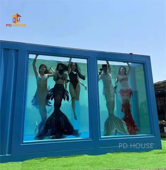 New Shipping Container Steel Structure Scuba Diving Center School Pools Glass Aquarium Mermaid Teaching Training Performance Diving Swimming Pool 