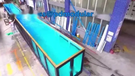Steel Frame Container Style Infinity Swimming Pool 